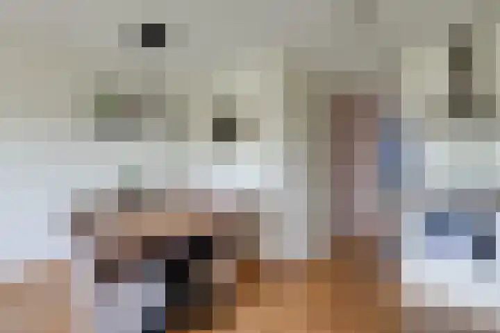 Overtoom 9 Zuidermeer thumbnail 18