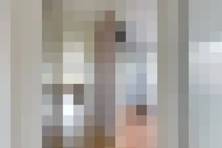 Overtoom 9 Zuidermeer thumbnail 19