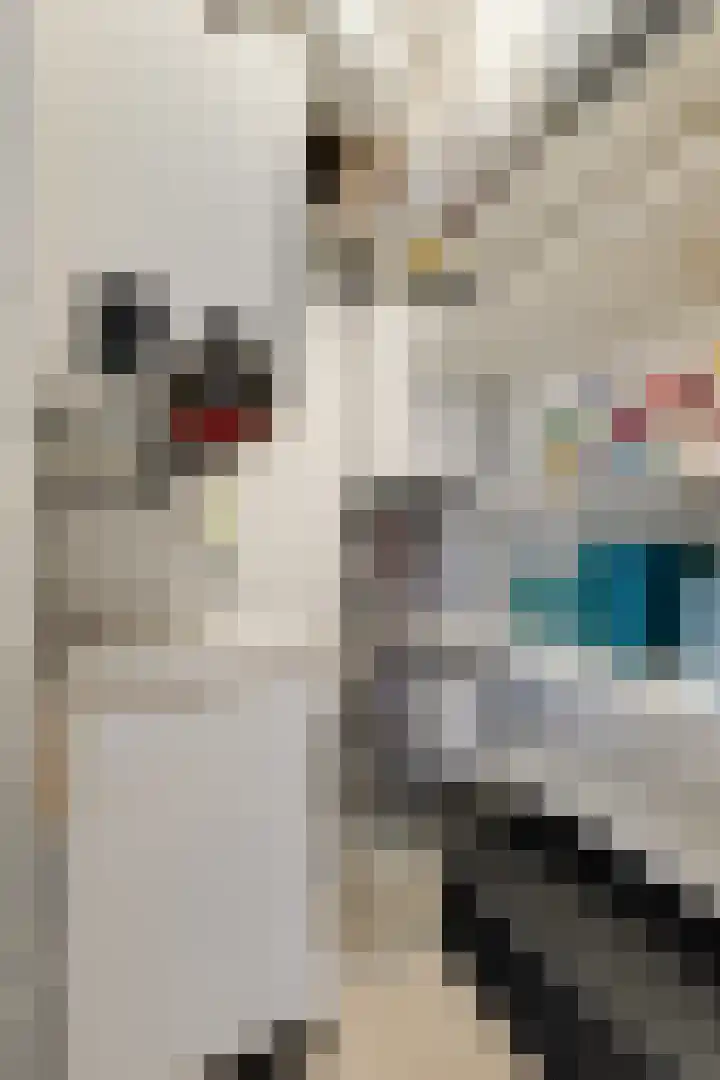 Overtoom 9 Zuidermeer thumbnail 29