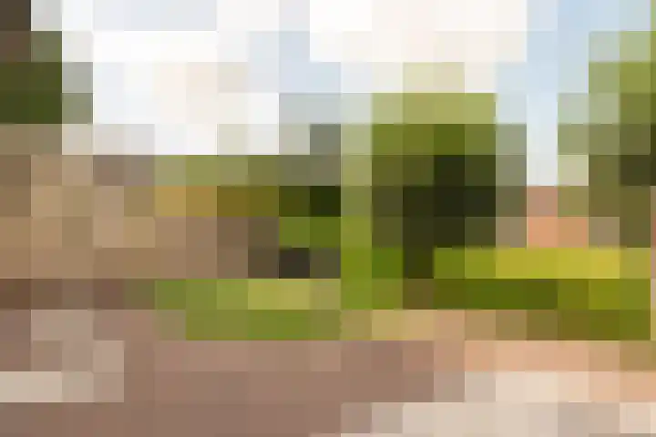 Overtoom 9 Zuidermeer thumbnail 31