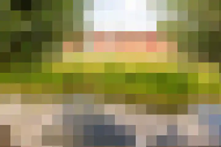 Overtoom 9 Zuidermeer thumbnail 32