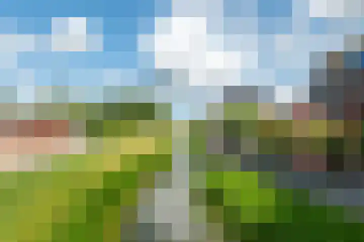 Overtoom 9 Zuidermeer thumbnail 33