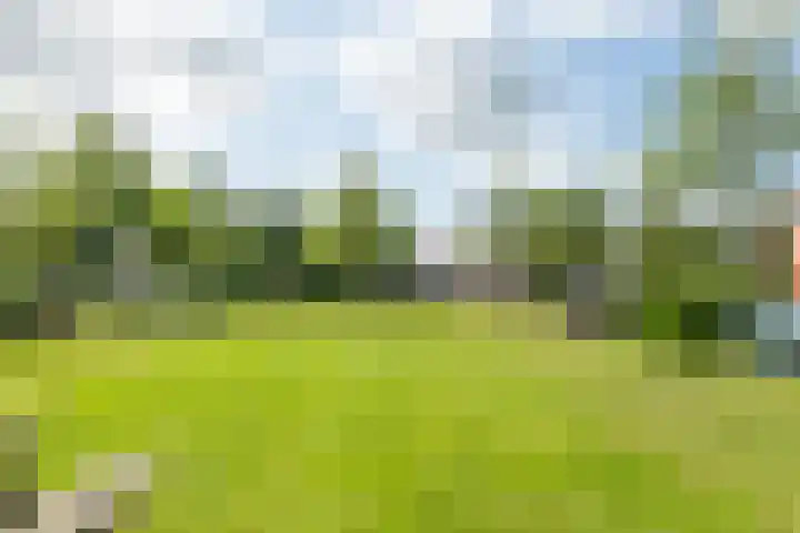 Overtoom 9 Zuidermeer thumbnail 37