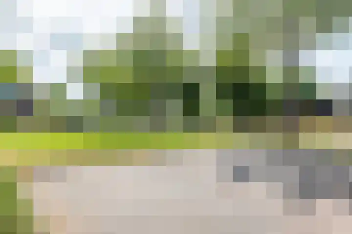 Overtoom 9 Zuidermeer thumbnail 38