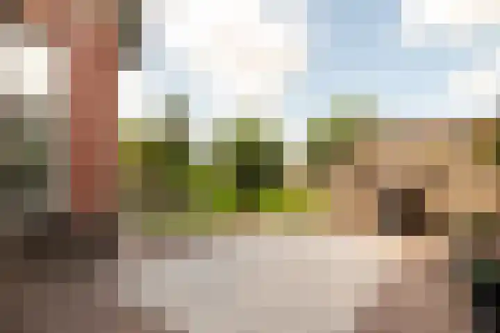 Overtoom 9 Zuidermeer thumbnail 4