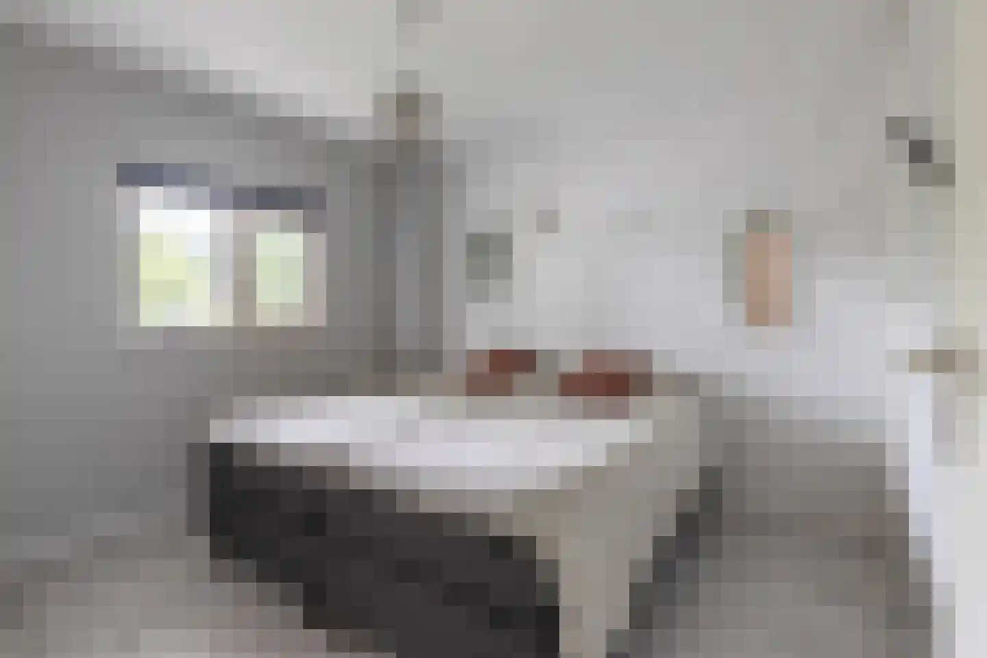 Overtoom 94 Amersfoort thumbnail 18