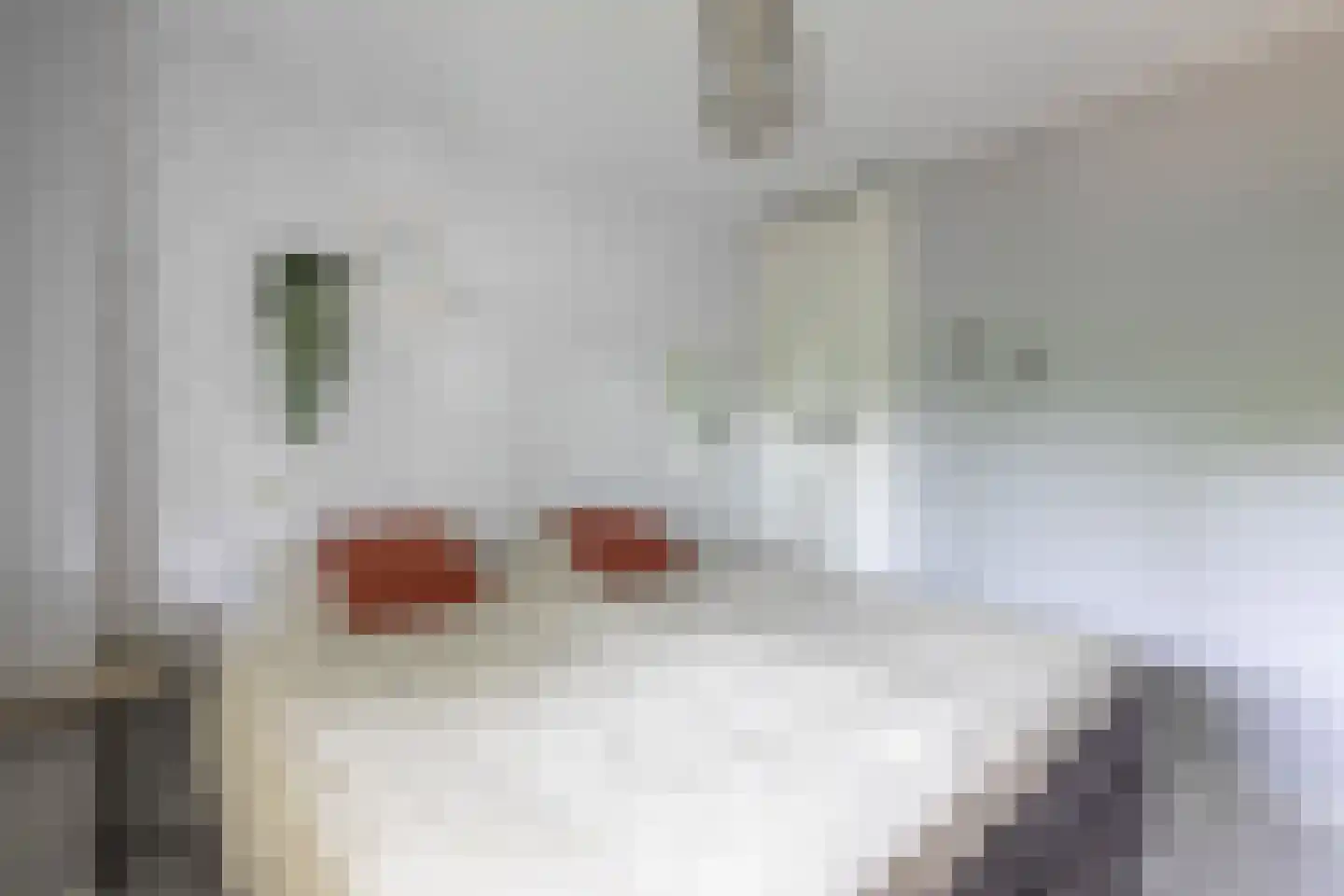 Overtoom 94 Amersfoort thumbnail 19