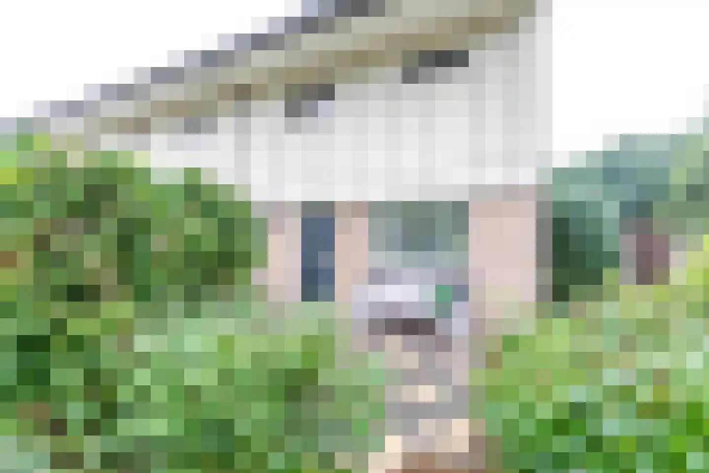 Overtoom 94 Amersfoort thumbnail 43