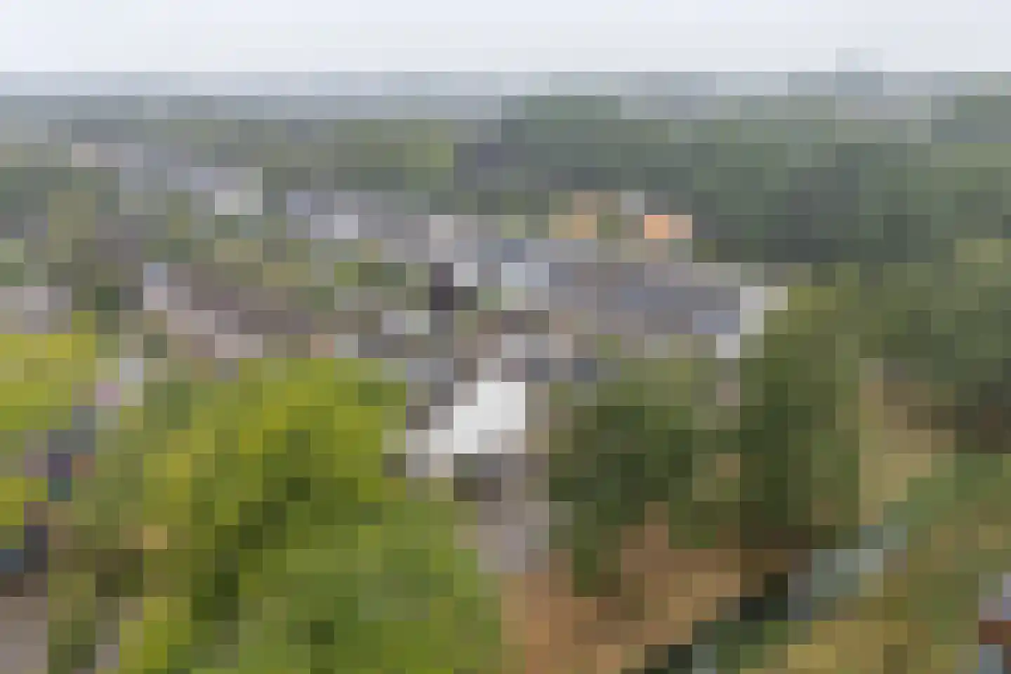 Overtoom 94 Amersfoort thumbnail 53