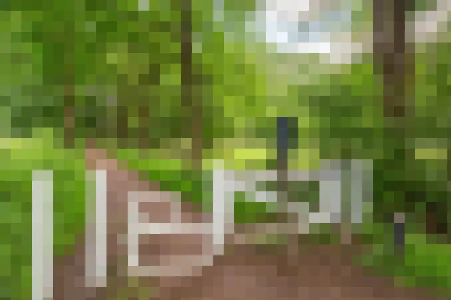 Overtoom 94 Amersfoort thumbnail 58