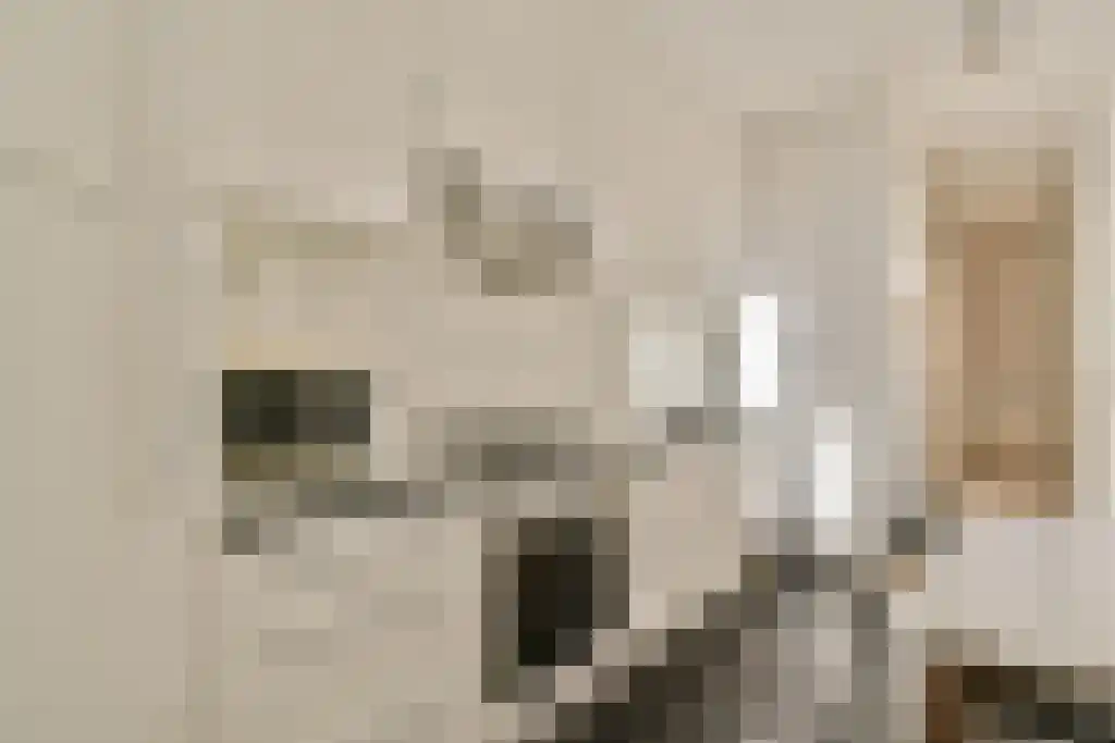 Overtoom 97 Amsterdam thumbnail 5