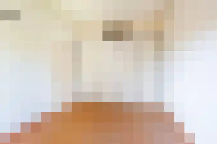 Overtuin 10 A Terborg thumbnail 11