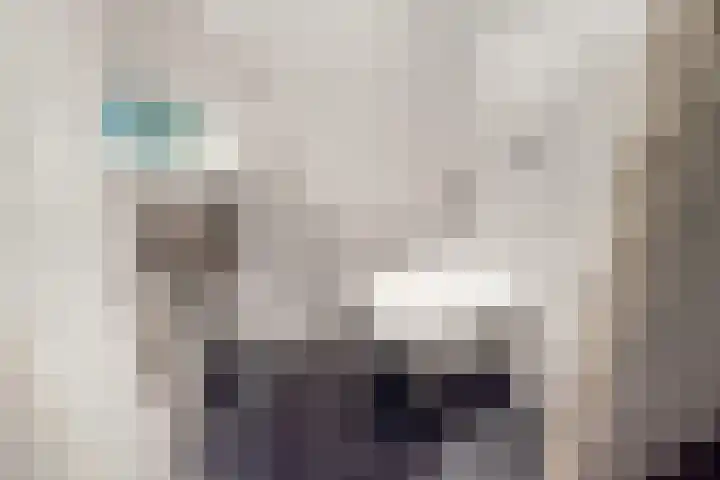 Overtuin 10 A Terborg thumbnail 17