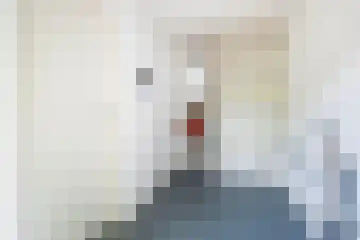 Overtuin 10 A Terborg thumbnail 25