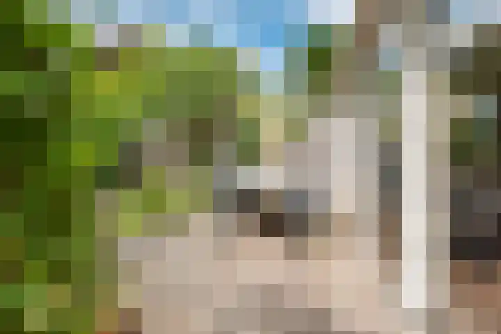 Overtuin 10 A Terborg thumbnail 27