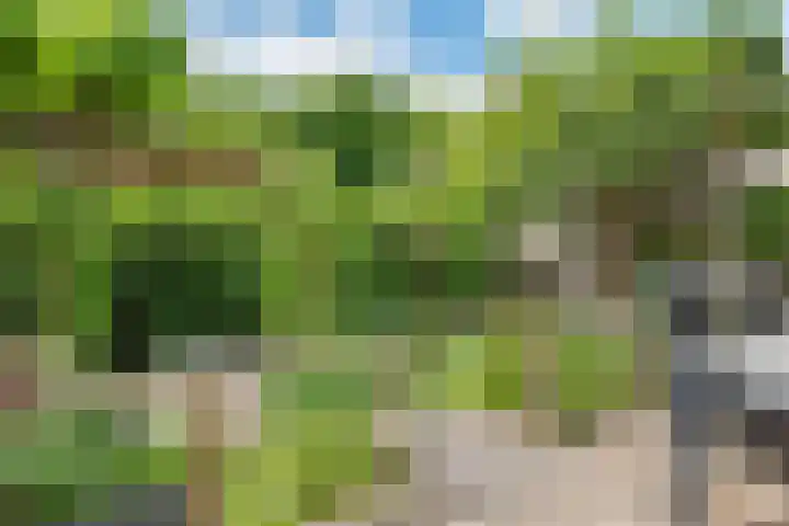 Overtuin 10 A Terborg thumbnail 29