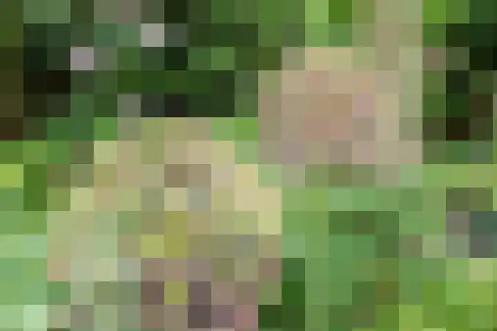 Overtuin 10 A Terborg thumbnail 30