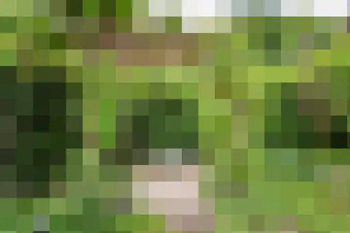 Overtuin 10 A Terborg thumbnail 31