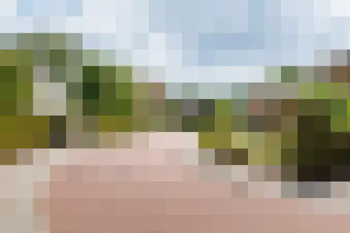 Overtuin 10 A Terborg thumbnail 33