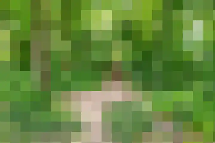 Overtuin 10 A Terborg thumbnail 36