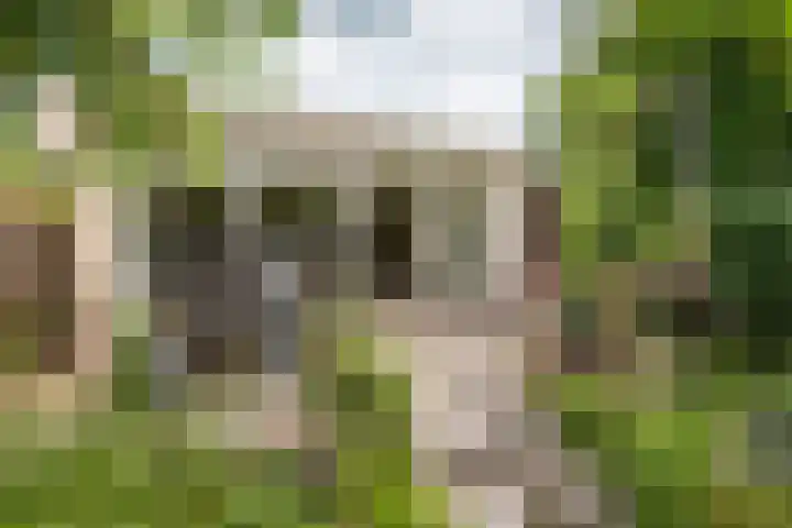 Overtuin 10 A Terborg thumbnail 4