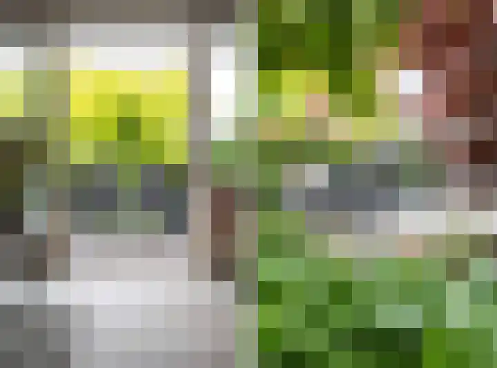 Overveenstraat 4 Arnhem thumbnail 13
