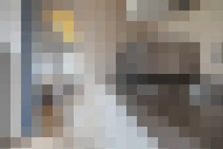 Overveenstraat 4 Arnhem thumbnail 21