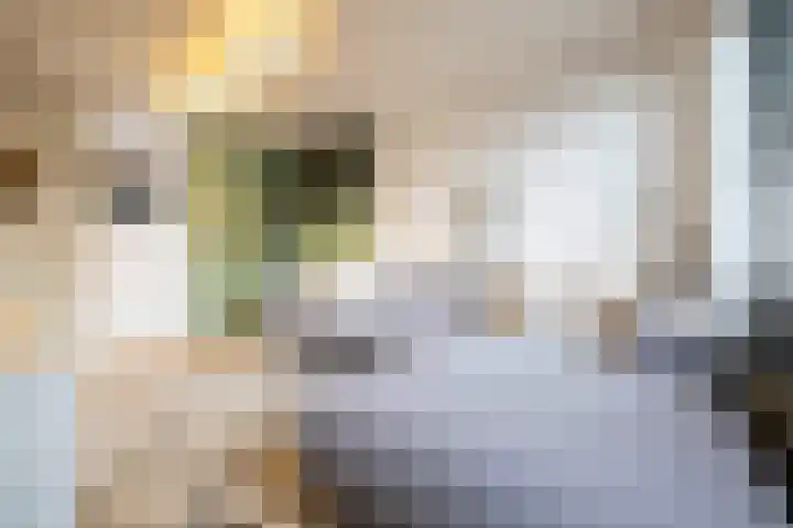 Overveenstraat 4 Arnhem thumbnail 22