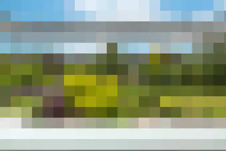 Overveenstraat 4 Arnhem thumbnail 44