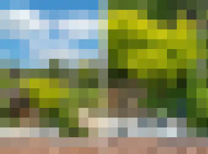 Overveenstraat 4 Arnhem thumbnail 47