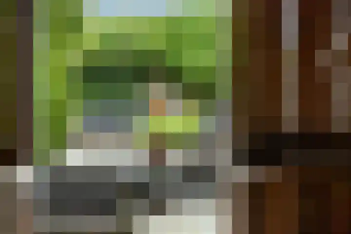 Overveenstraat 4 Arnhem thumbnail 48