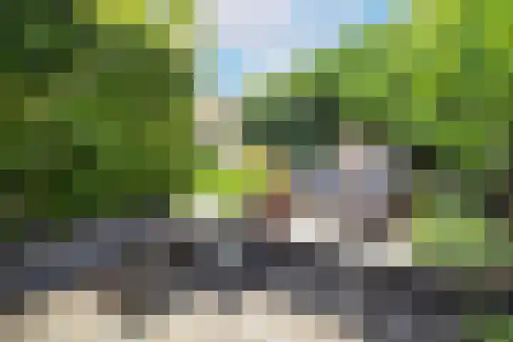 Overveenstraat 4 Arnhem thumbnail 49