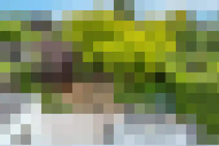 Overveenstraat 4 Arnhem thumbnail 5