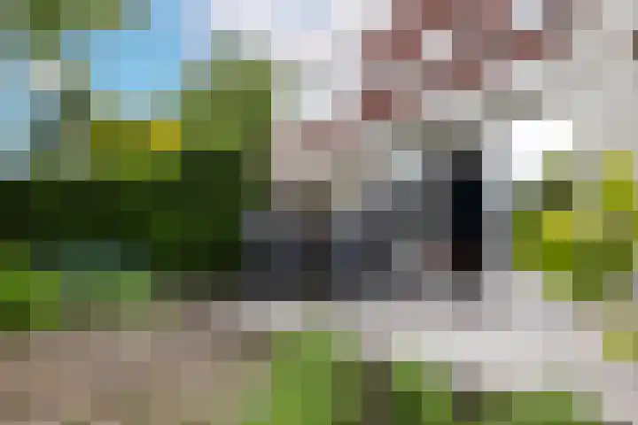 Overveenstraat 4 Arnhem thumbnail 52