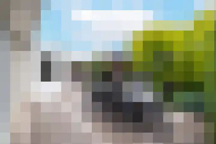 Overveenstraat 4 Arnhem thumbnail 53
