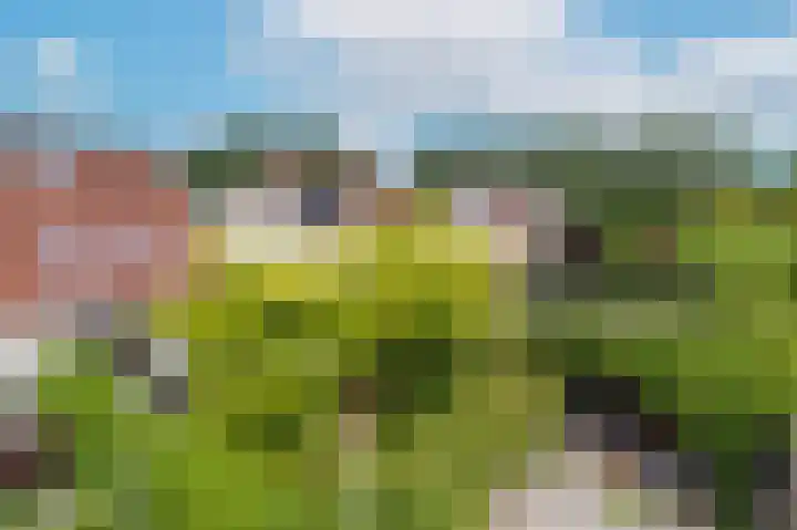 Overveenstraat 4 Arnhem thumbnail 54