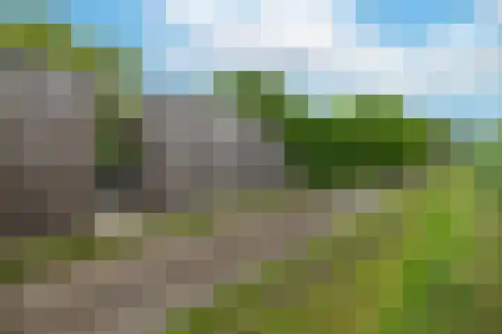 Overveenstraat 4 Arnhem thumbnail 55