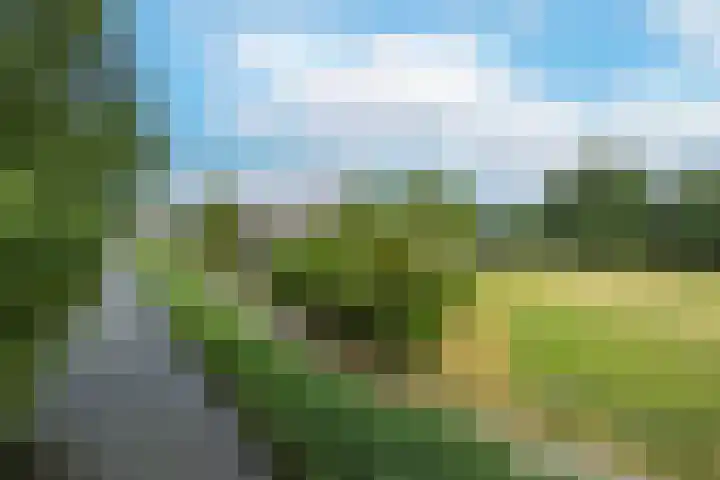 Overveenstraat 4 Arnhem thumbnail 56