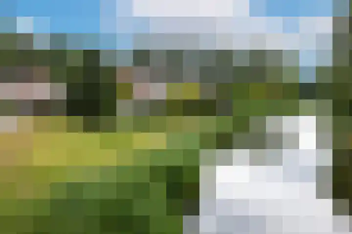 Overveenstraat 4 Arnhem thumbnail 63