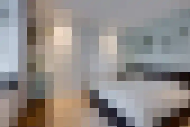 Overveldsestraat 4 Prinsenbeek thumbnail 12