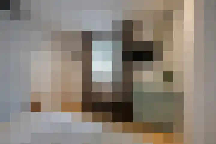 Overveldsestraat 4 Prinsenbeek thumbnail 13