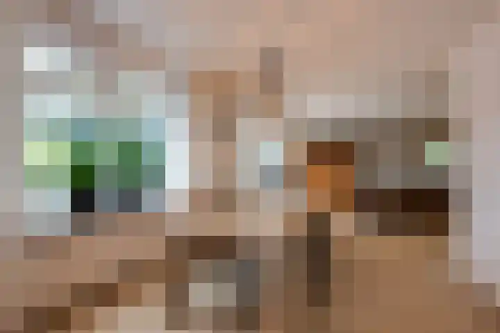 Overveldsestraat 4 Prinsenbeek thumbnail 17