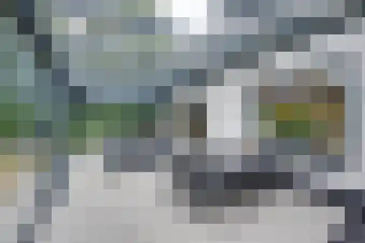 Overveldsestraat 4 Prinsenbeek thumbnail 21