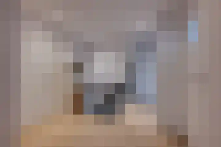 Overveldsestraat 4 Prinsenbeek thumbnail 30