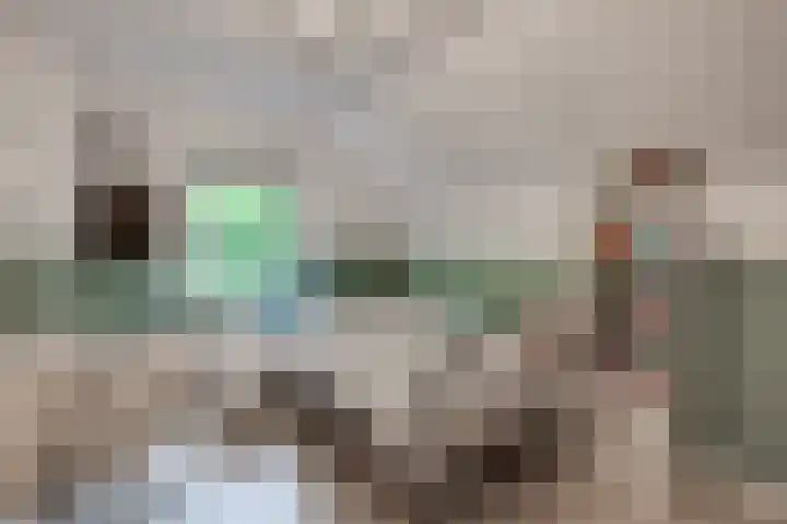 Overveldsestraat 4 Prinsenbeek thumbnail 38