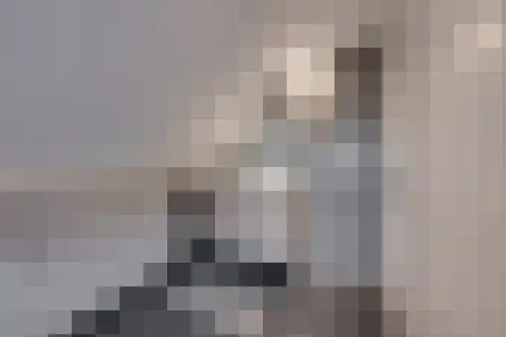 Overveldsestraat 4 Prinsenbeek thumbnail 42