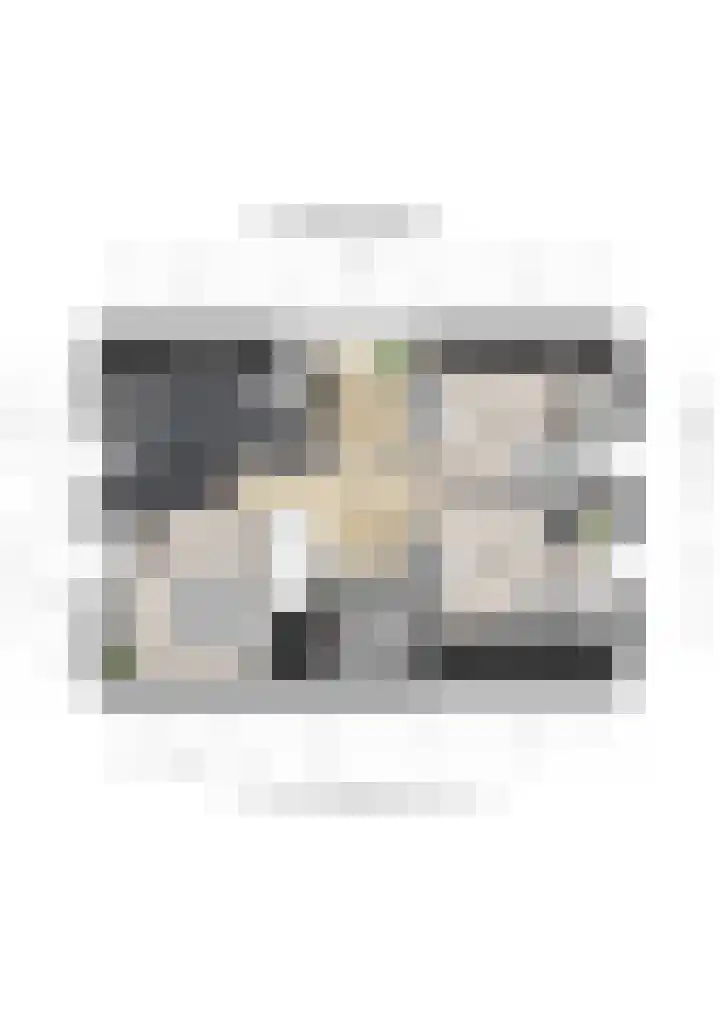 Overveldsestraat 4 Prinsenbeek thumbnail 62