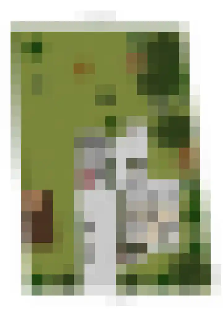 Overveldsestraat 4 Prinsenbeek thumbnail 66