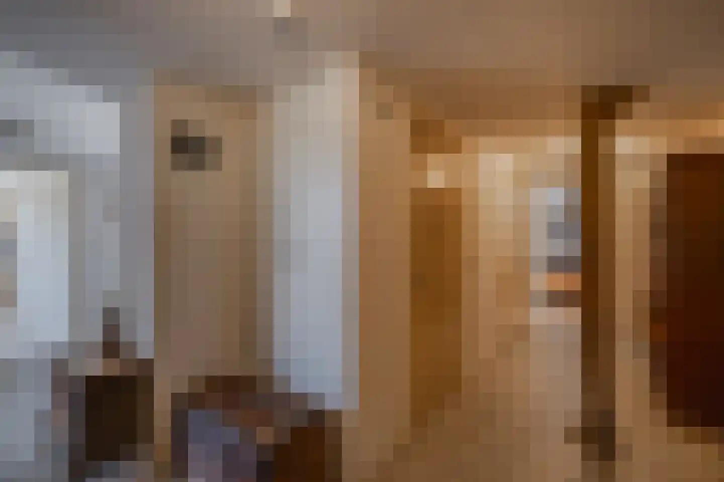 Overveldweg 3 a Harfsen thumbnail 13