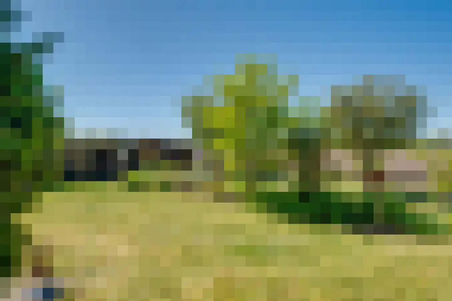 Overveldweg 3 a Harfsen thumbnail 30